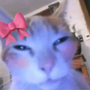 avatar ! anest