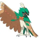 barracuda306 avatar