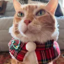 buddyjason