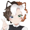 tanookicat