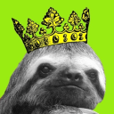 avatar Sloth Knight