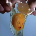 jaypdot