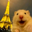 avatar GustavHagglund