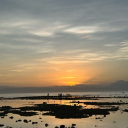 avatar svtvrnz