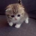 https://cdn.discordapp.com/avatars/1071818151291015239/0bc7dd734bc99b16e93f5690f3a0843c.jpg?size=128