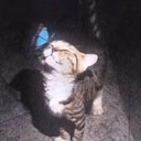 elvinfoppa's Avatar