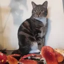 lightworker9935 avatar