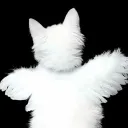 rebzzyx0904 avatar