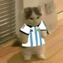 nicolasx4277 avatar