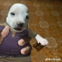 avatar The invisible spy