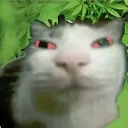 eqwrqwe3