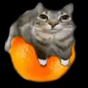mrtooky