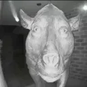 Аватар prostodanya1497