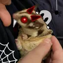intellvr