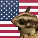 intellvr