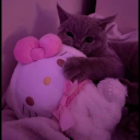 avatar 𝐦𝐲𝐫𝐢𝐚𝐦`