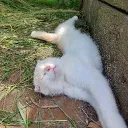 Аватар _egoisttt_