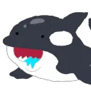 shachi_bimyoiyo