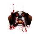 luckofthedawg
