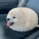 avatar @yesimissu new acc