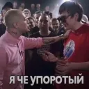 sekuznec