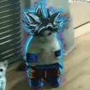mctokxd