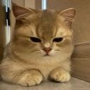 avatar 𝑒𝑚𝑖 𝜗𝜚