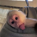 avatar dream car: Cube Car