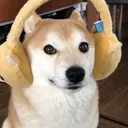 chrisitan
