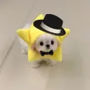 itzzlelee