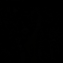 avatar Sebastian1907