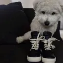 Аватар monospacer