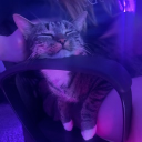 avatar ℳ𝒶𝓇𝓎❤