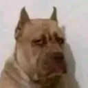 oficialjohn_yt2 avatar