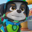 bluey_the_blue_heeler