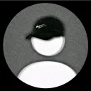 ratodoxitos
