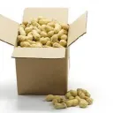 alexnutbox