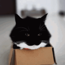 avatar TIRED and SLEEPY UNI