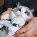 zhouyanguan's Avatar