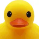 koolish08