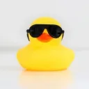 koolish08