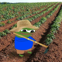 Salsa