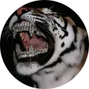 mfuscator