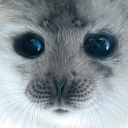 avatar 🎀  𝒿𝒶𝓂𝑒𝓃𝓃𝓁𝓸𝓋𝑒𝓇  🎀