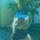 blueleaff_