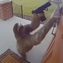 avatar สลอธเมืองคอน