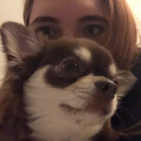 avatar Adelina ˘͈ᵕ˘͈