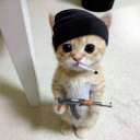 avatar ABC X N1cklas