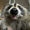 pusi_tain_pusi151830 avatar