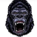 ape05906